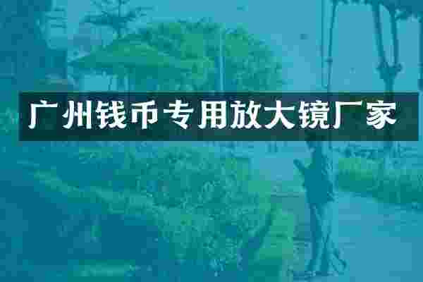 广州钱币专用放大镜厂家