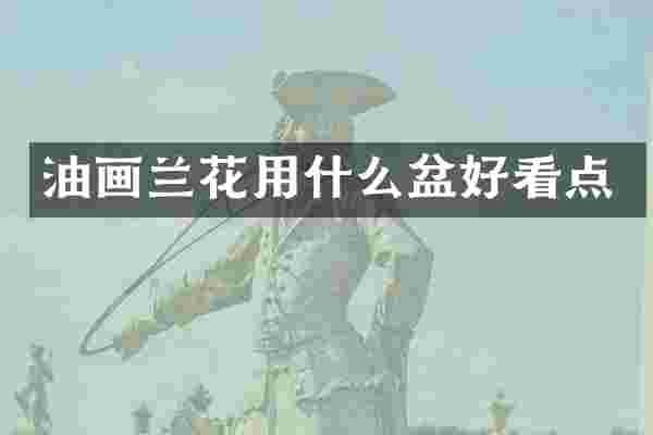 油画兰花用什么盆好看点