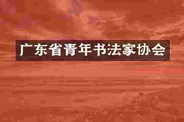 广东省青年书法家协会