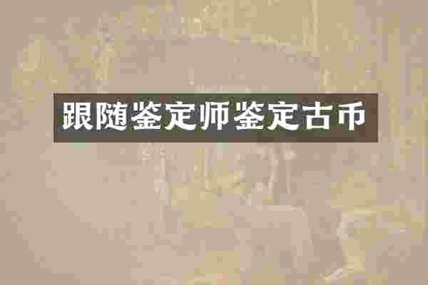 跟随鉴定师鉴定古币