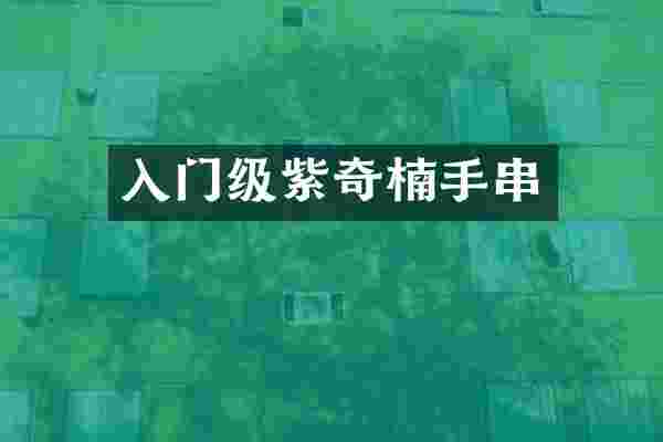 入门级紫奇楠手串