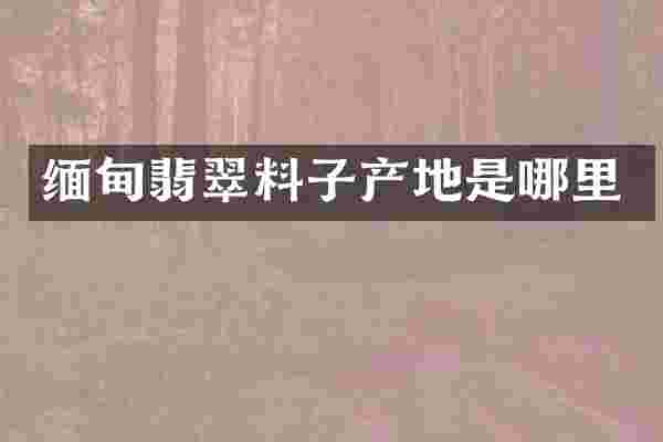 缅甸翡翠料子产地是哪里