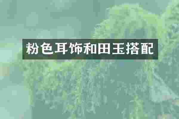 粉色耳饰和田玉搭配