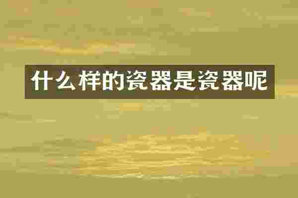 什么样的瓷器是瓷器呢