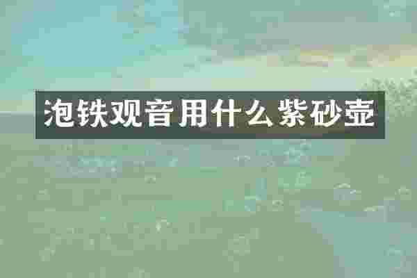 泡铁观音用什么紫砂壶