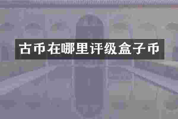 古币在哪里评级盒子币