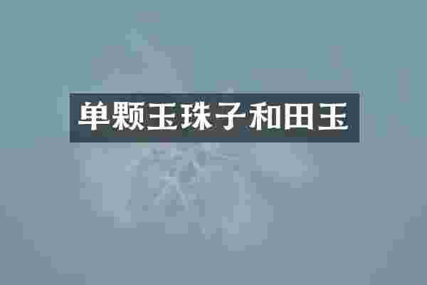 单颗玉珠子和田玉