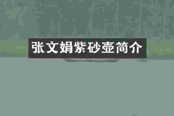 张文娟紫砂壶简介
