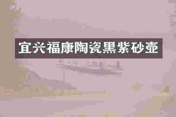 宜兴福康陶瓷黑紫砂壶