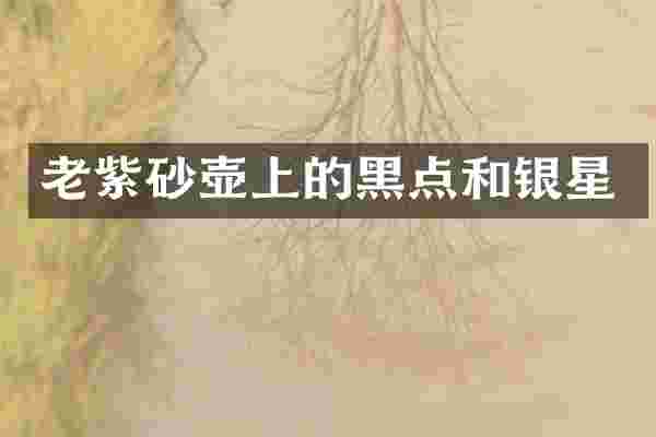 老紫砂壶上的黑点和银星