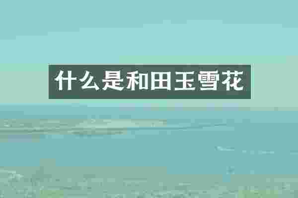 什么是和田玉雪花