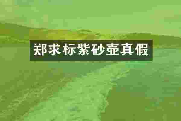 郑求标紫砂壶真假