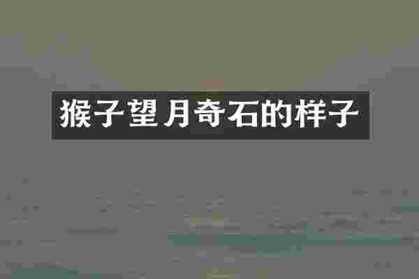 猴子望月奇石的样子