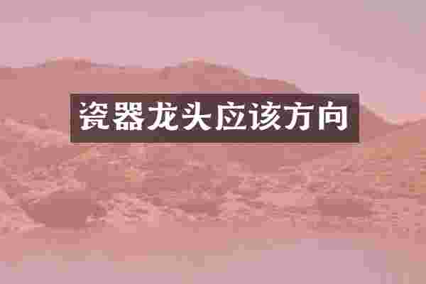 瓷器龙头应该方向