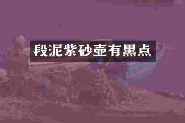 段泥紫砂壶有黑点