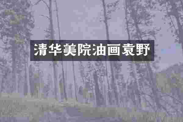 清华美院油画袁野