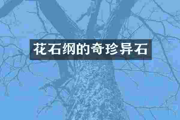 花石纲的奇珍异石