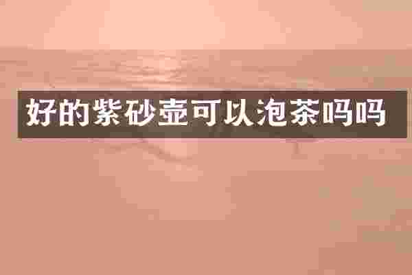 好的紫砂壶可以泡茶吗吗