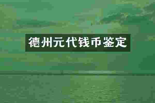 德州元代钱币鉴定