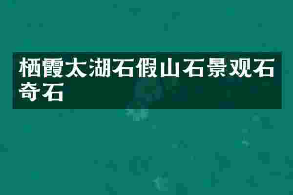 栖霞太湖石假山石景观石奇石