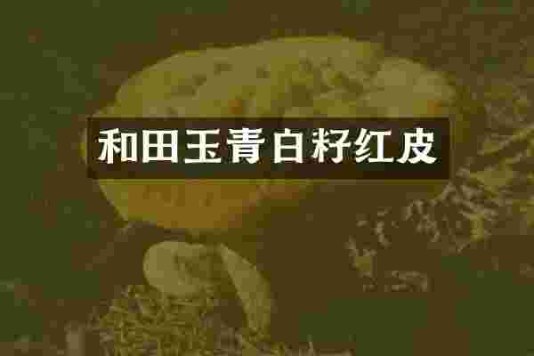 和田玉青白籽红皮