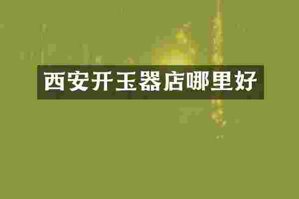 西安开玉器店哪里好