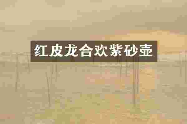 红皮龙合欢紫砂壶