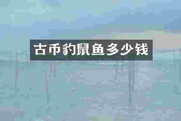 古币豹鼠鱼多少钱