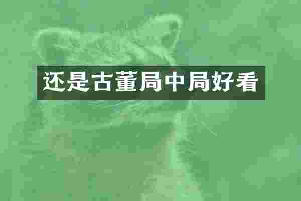 还是古董局中局好看