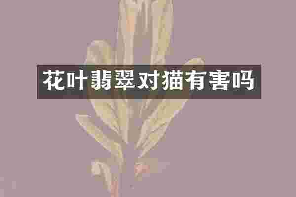 花叶翡翠对猫有害吗