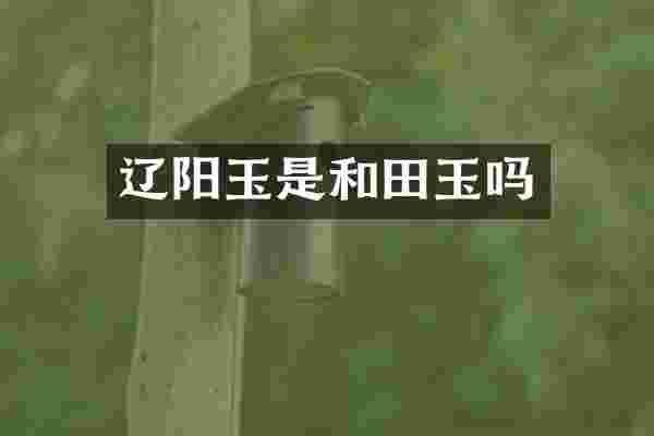 辽阳玉是和田玉吗