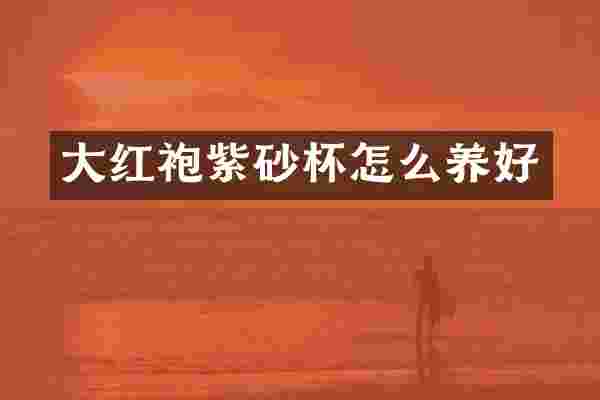 大红袍紫砂杯怎么养好