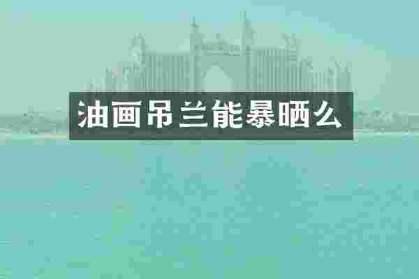 油画吊兰能暴晒么