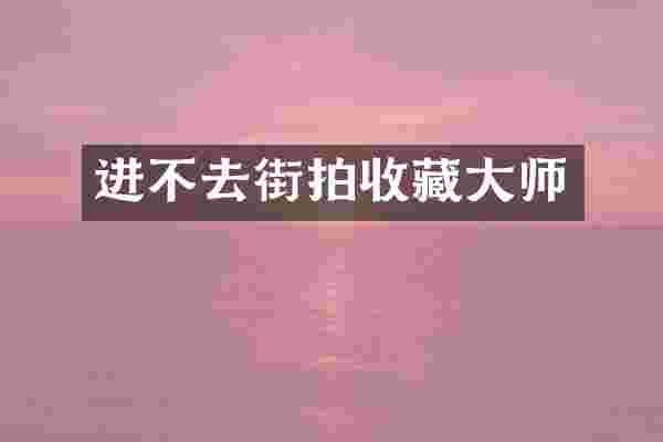 进不去街拍收藏大师