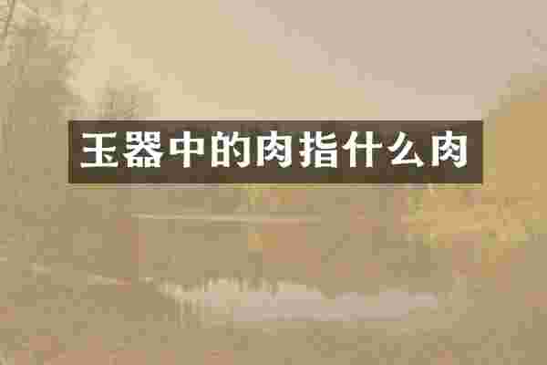 玉器中的肉指什么肉