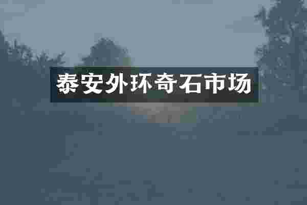 泰安外环奇石市场