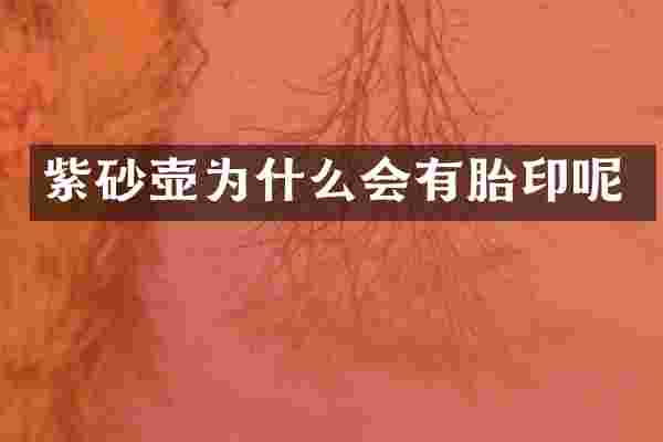 紫砂壶为什么会有胎印呢
