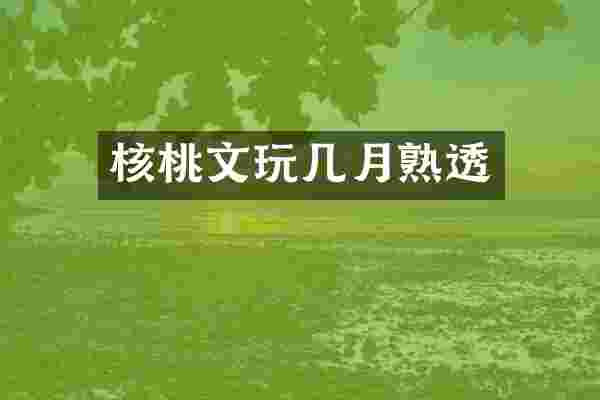 核桃文玩几月熟透