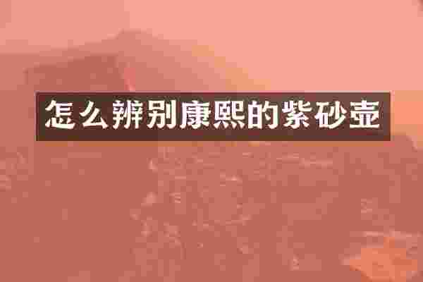 怎么辨别康熙的紫砂壶