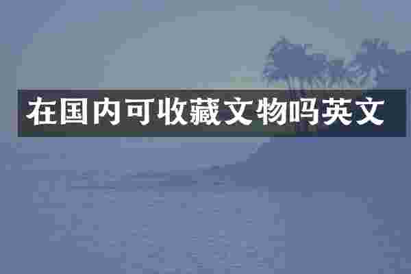 在国内可收藏文物吗英文