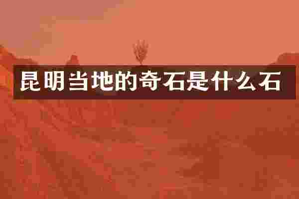 昆明当地的奇石是什么石
