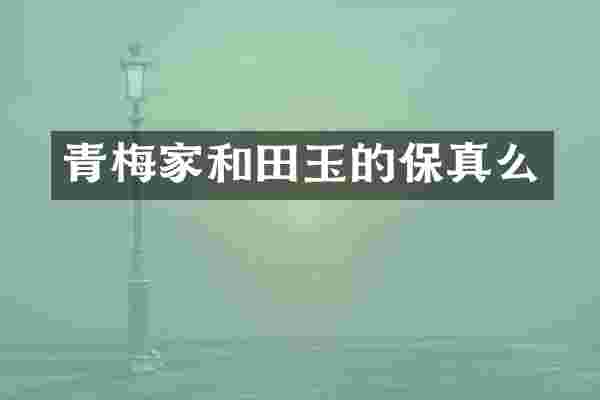 青梅家和田玉的保真么