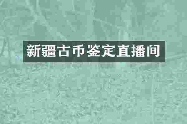 新疆古币鉴定直播间