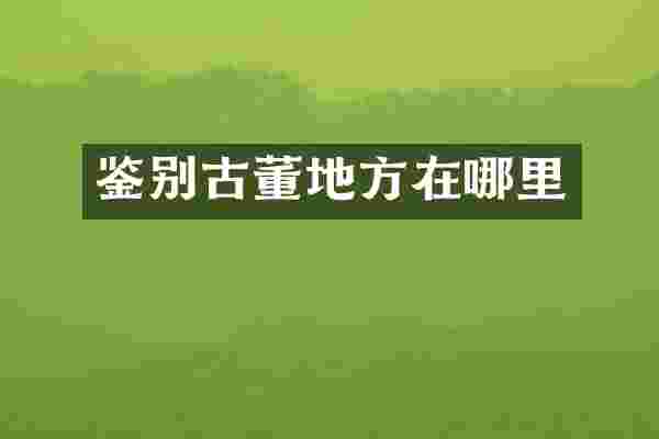 鉴别古董地方在哪里