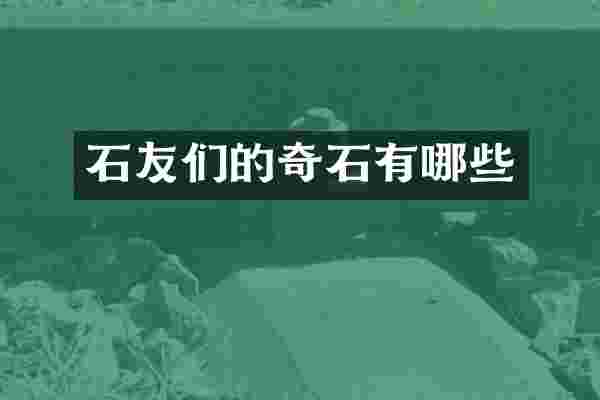 石友们的奇石有哪些