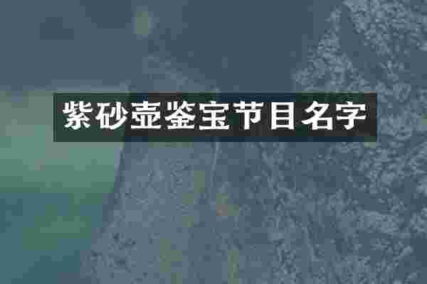 紫砂壶鉴宝节目名字