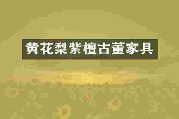 黄花梨紫檀古董家具