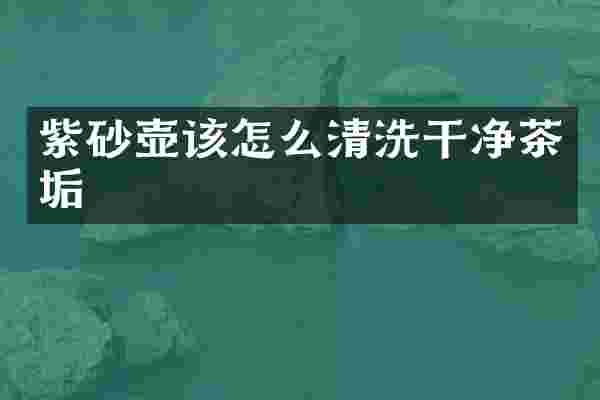 紫砂壶该怎么清洗干净茶垢