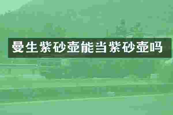 曼生紫砂壶能当紫砂壶吗