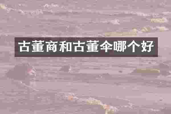 古董商和古董伞哪个好